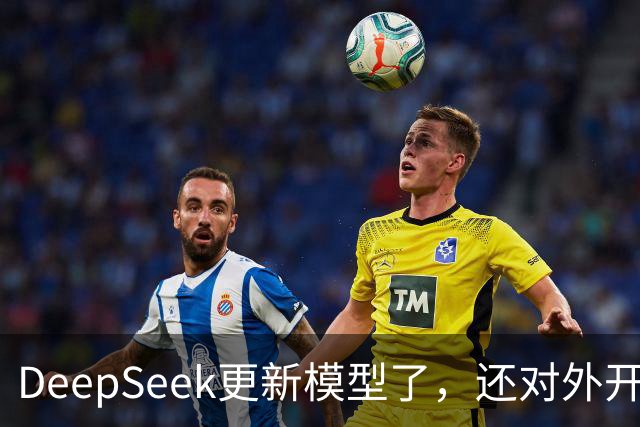 DeepSeek更新模型了，还对外开放了搜索引擎